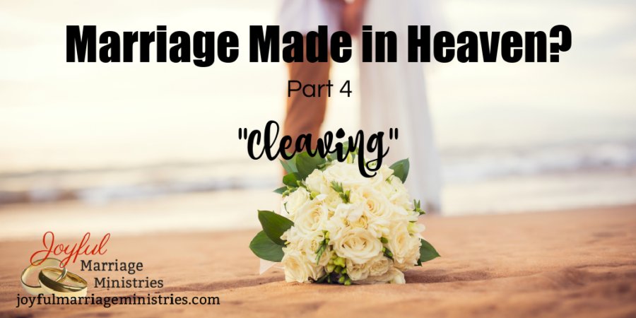 Newly Married Couple with text that reads, Marriage Made in Heaven: Part 4 "Cleaving"